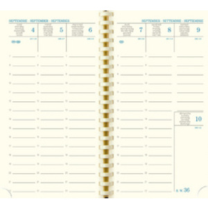 EXACOMPTA Agenda de poche SAD 16S VERONE, 2025/2026, 16 mois