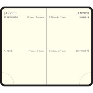 EXACOMPTA Agenda de poche MINI 11, 2026, Duo Kaa assorti