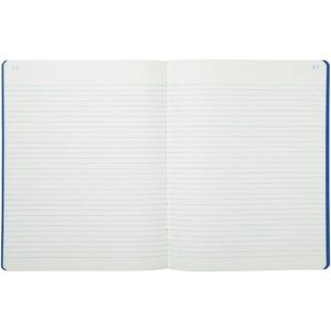 EXACOMPTA Piqûre, 320 x 250 mm vertical, ligné