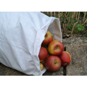 dm Sac de ramassage en PP, (L)500 x (H)800 mm, blanc