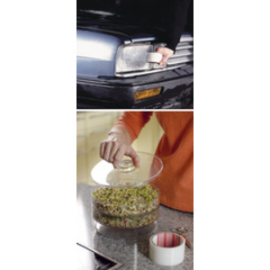 tesa Ruban toilé extra Power, 48 mm x 10 m, transparent