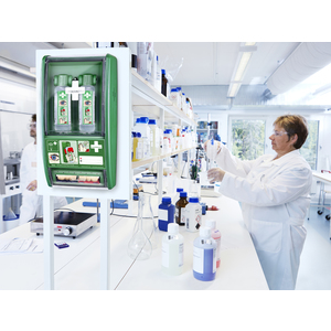 CEDERROTH Solution de rinçage oculaire, lot de 2 x 500 ml