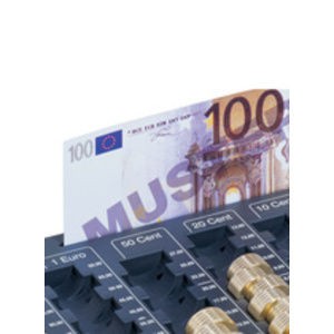 DURABLE Casier à monnaie EUROBOARD L, (L)324 x (P)190 x (H)