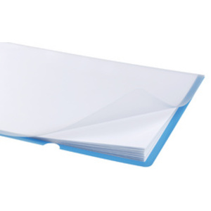 DURABLE Pochette coin PREMIUM, A4, PVC, 0,20 mm