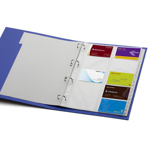 DURABLE Pochettes pour cartes de visite, A4, pour 10 cartes  - 53713