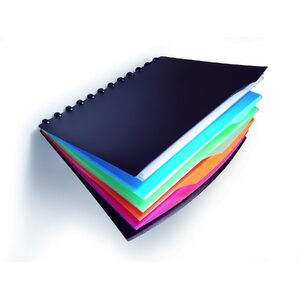 DURABLE Protège-documents DURALOOK STYLE, A4, avec 20