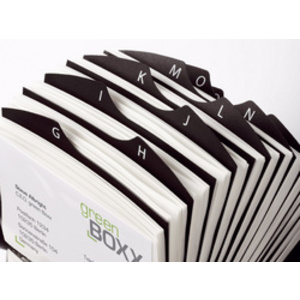 DURABLE Fichier pour cartes de visite VISIFI, argent