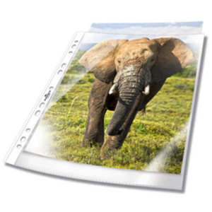 DURABLE Pochette perforée, A4, PP, 0,05 mm, transparent
