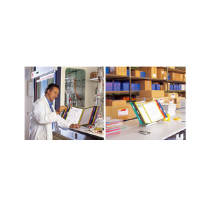 djois by tarifold Kit pupitre métal, avec 30 poches à pivot