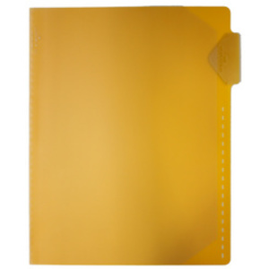 DURABLE Chemise pour fiches bristol, A4, trous de blocage