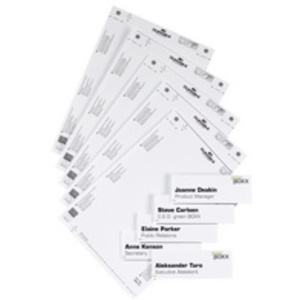 DURABLE Plaque de porte INFO SIGN, (L)297 x (H)420 mm  - 65196