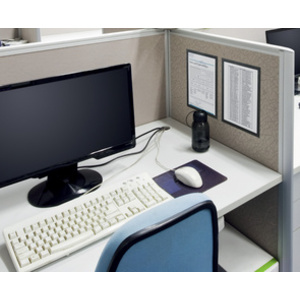 DURABLE Cadre magnétique DURAFRAME GRIP, A4, argent