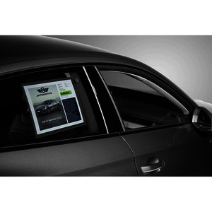 DURABLE Pochette d'affichage, vitrostatique, A4, anthracite