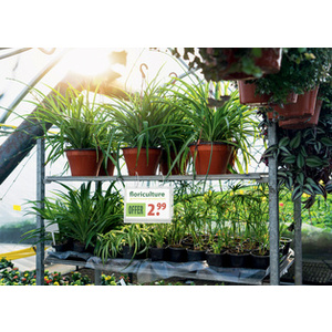 DURABLE Pochette d'affichage, étanche, A5, avec serre-câbles