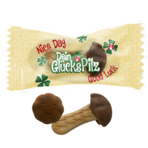 HELLMA Biscuit au chocolat 'Glückspilze', dans un carton