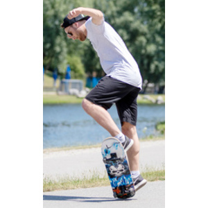 SCHILDKRÖT Skateboard 'Grinder 31' Inferno