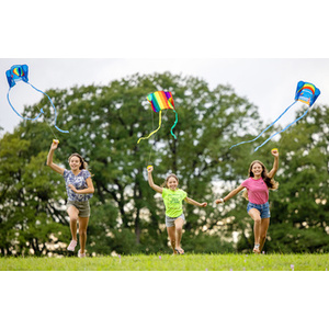 SCHILDKRÖT Cerf-volant de poche Pocket Kite M